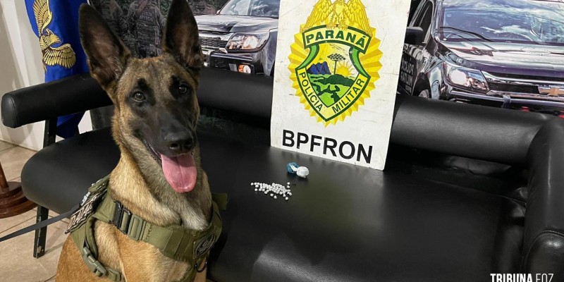 BPFRON e NEPOM apreendem crack e de maconha em Marechal Cândido Rondon